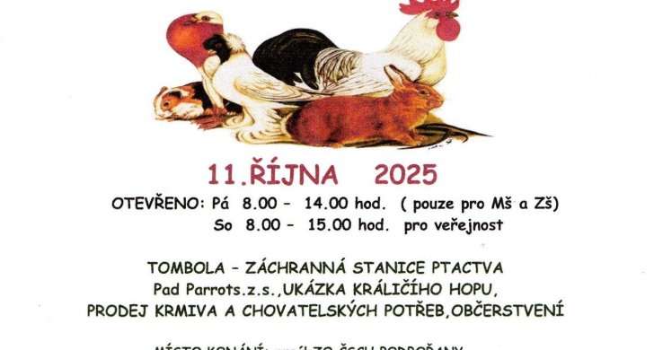 výstava plakát (1).jpg